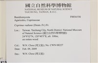 登錄號:F0036556藏品圖，第2張