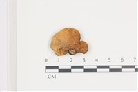 登錄號:F0036561藏品圖，第1張