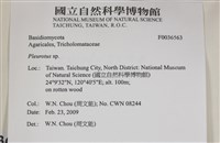 登錄號:F0036563藏品圖，第2張