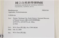 登錄號:F0036564藏品圖，第2張