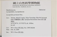登錄號:F0036565藏品圖，第2張