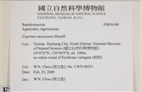登錄號:F0036568藏品圖，第2張