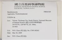 登錄號:F0036569藏品圖，第2張