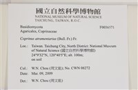 登錄號:F0036571藏品圖，第2張