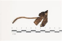 登錄號:F0036571藏品圖，第1張