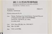 登錄號:F0036573藏品圖，第2張