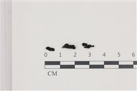 登錄號:F0036573藏品圖，第1張