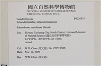 登錄號:F0036574藏品圖，第2張