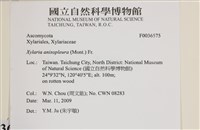 登錄號:F0036575藏品圖，第2張