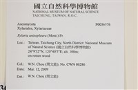 登錄號:F0036576藏品圖，第2張