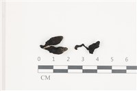 登錄號:F0036576藏品圖，第1張