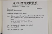 登錄號:F0036577藏品圖，第2張