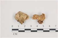登錄號:F0036577藏品圖，第1張