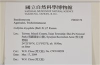 登錄號:F0036578藏品圖，第2張