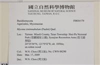 登錄號:F0036579藏品圖，第2張