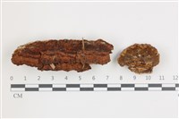 登錄號:F0036581藏品圖，第1張