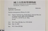 登錄號:F0036584藏品圖，第2張