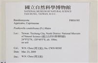 登錄號:F0036585藏品圖，第2張