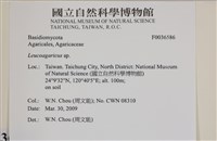 登錄號:F0036586藏品圖，第2張