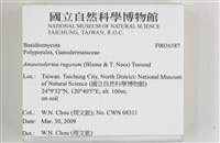登錄號:F0036587藏品圖，第2張