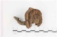 登錄號:F0036587藏品圖，第1張