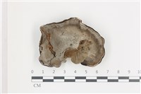 登錄號:F0036587藏品圖，第3張