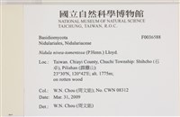 登錄號:F0036588藏品圖，第2張