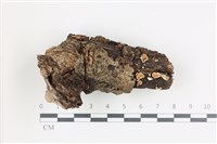 登錄號:F0036589藏品圖，第1張