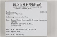 登錄號:F0036590藏品圖，第2張