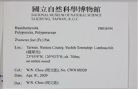登錄號:F0036591藏品圖，第2張