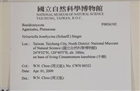登錄號:F0036592藏品圖，第2張