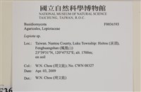 登錄號:F0036593藏品圖，第2張