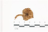 登錄號:F0036593藏品圖，第1張