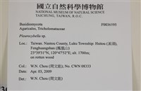 登錄號:F0036595藏品圖，第2張