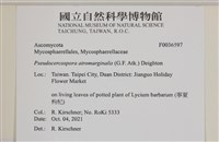 登錄號:F0036597藏品圖，第2張