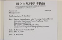 登錄號:F0036598藏品圖，第2張