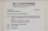 登錄號:F0036600藏品圖，第2張