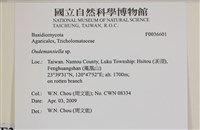 登錄號:F0036601藏品圖，第2張