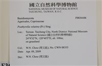 登錄號:F0036606藏品圖，第2張
