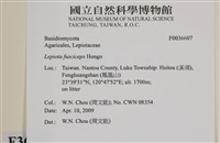 登錄號:F0036607藏品圖，第2張