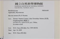 登錄號:F0036608藏品圖，第2張