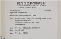 登錄號:F0036609藏品圖，第2張