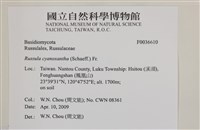登錄號:F0036610藏品圖，第2張