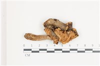 登錄號:F0036610藏品圖，第1張