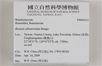 登錄號:F0036611藏品圖，第2張