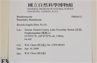 登錄號:F0036612藏品圖，第2張