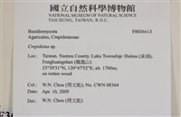 登錄號:F0036613藏品圖，第2張