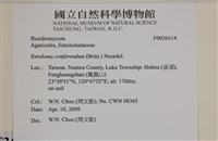 登錄號:F0036614藏品圖，第2張