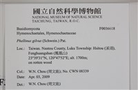 登錄號:F0036618藏品圖，第2張