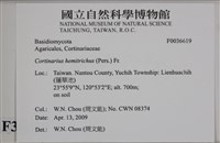 登錄號:F0036619藏品圖，第2張